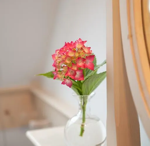 Hébergement de vacances Neubauer *