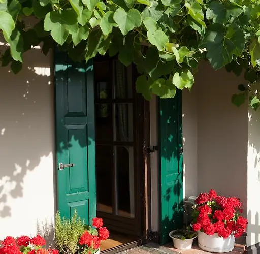 Dom wakacyjny Neubauer