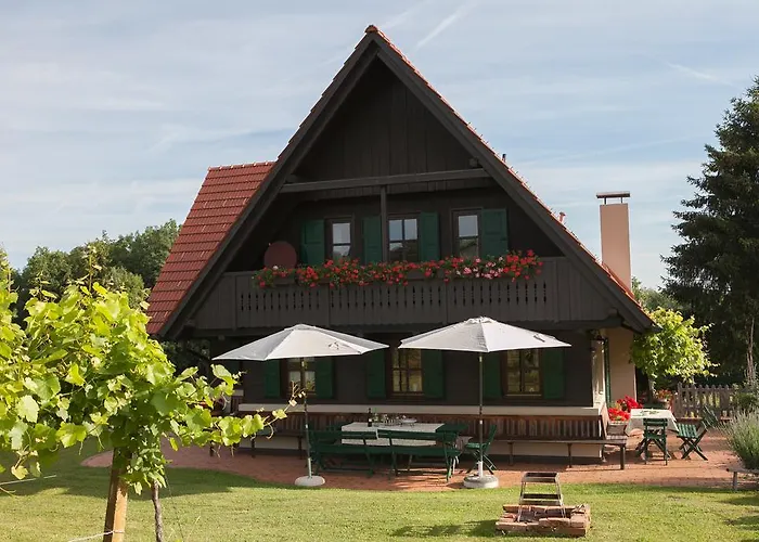 Neubauer Dom wakacyjny Spielfeld